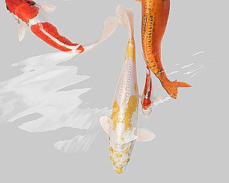 《守望先锋2》测试版画面泄露 “士兵76”全新外观